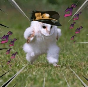 Meet your Posher, Marc